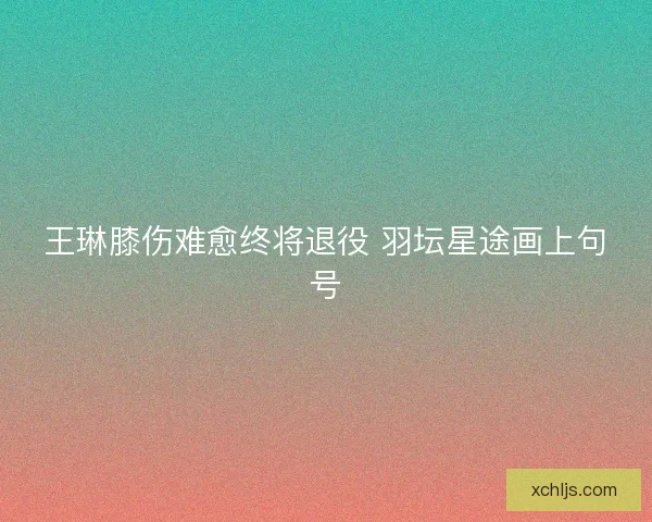 王琳膝伤难愈终将退役 羽坛星途画上句号
